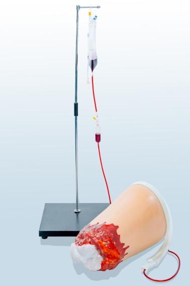 下肢外傷斷肢止血模型  下肢外傷斷肢止血模型